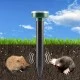 2 БРОЯ СОЛАРЕН УРЕД СРЕЩУ КЪРТИЦИ , СЛЯПО КУЧЕ , ГРИЗАЧИ И ДРУГИ ВРЕДИТЕЛИ - Градинска техника
