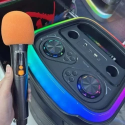 Караоке тонколона Brodu BTS-2147 с 2 говорителя по 12", 300 W PMPO, безжичен микрофон, RGB светлини, Bluetooth 5.0 и TWS